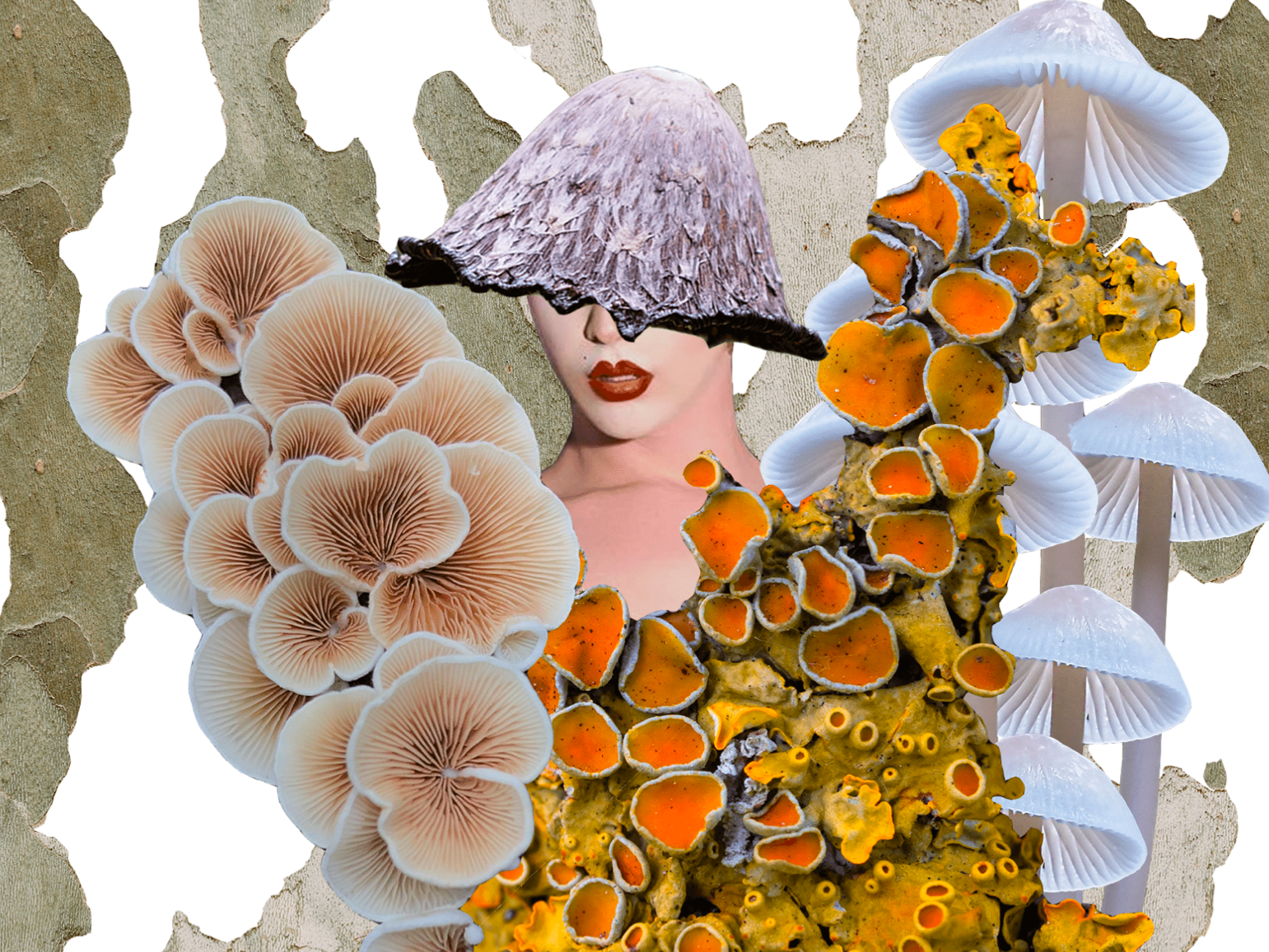Collage aus Pilzen, Flechten und einem Gesicht mit rotem Lippenstift, das teilweise von einem Pilzhut verdeckt wird.